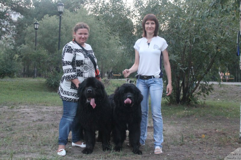 Фото: Lyudmila Ovsyannikova (Людмила Овсянникова), ньюфаундленд Omar SHerif (Омар Шериф), ньюфаундленд Akvian Song Insayd Mi Vord (Аквиан Сонг Инсайд Ми Ворд), Anna Masal'skaya (Анна Масальская)