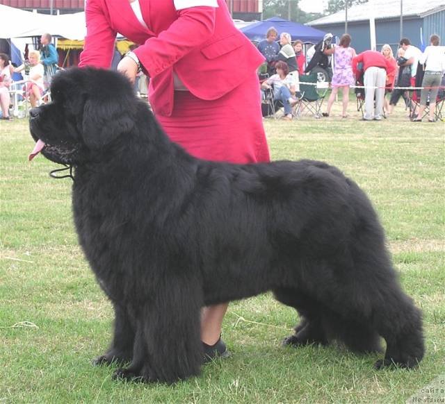 Фотография № 134461