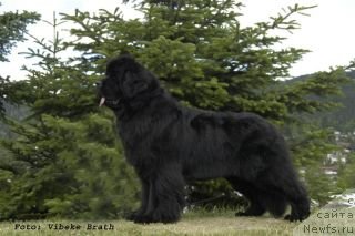 Фотография № 134462