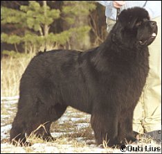 Фотография № 134465