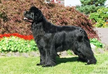 Фотография № 134468