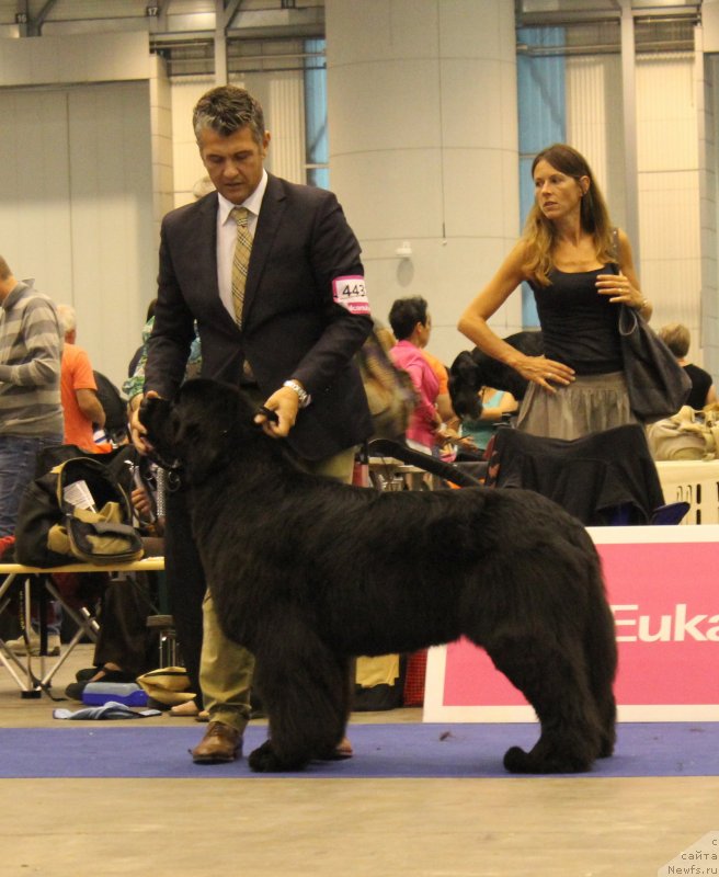 Фото: VERY FAIRWEATHERS’S YOU’RE STILL THE ONE