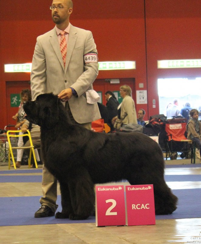 Фото: VERY FAIRWEATHERS’S YES I’AM