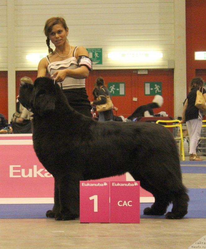 Фото: URSINUS VELUTUS OOPS HE DID IT AGAIN