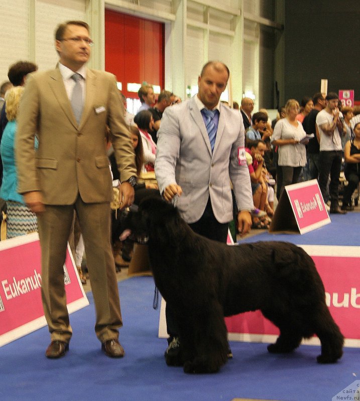 Фото: CACIB SKIPPER’S X-FACTOR