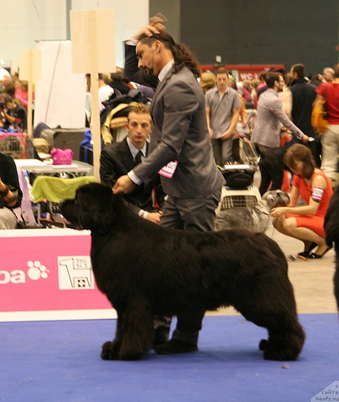 Фото: KING OF HELLULAND LOT OF STARS