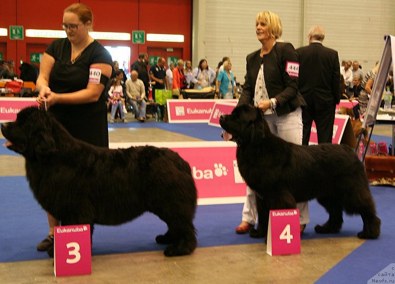 Фото: DEEP LOVE FOCH SAILS AT SEA и A&B NEWFS HERE I AM