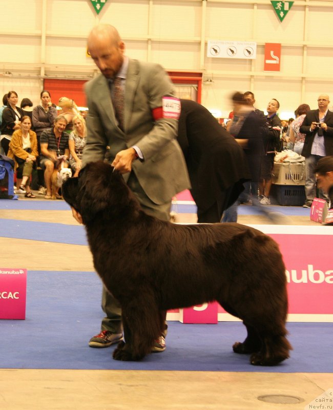 Фото: SHOW MUST GO ON DE ANMALAMUAL