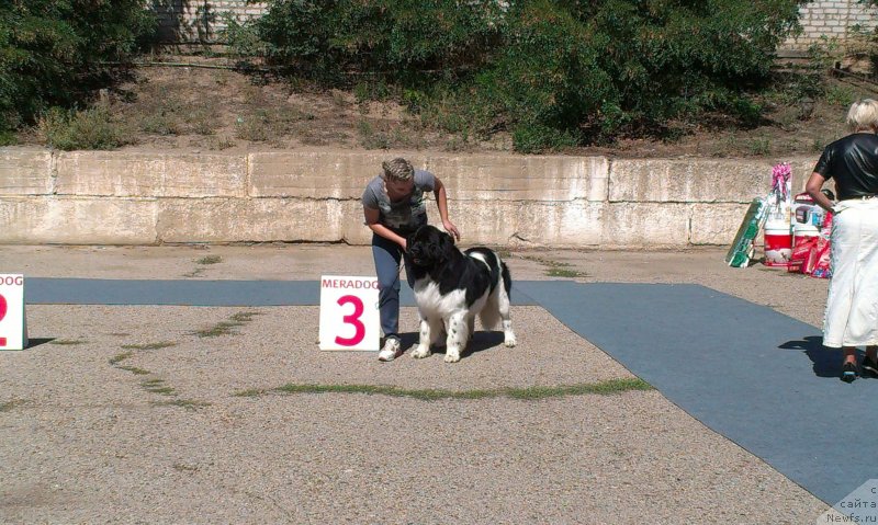 Фото: Elena Gorbunova (Елена Горбунова)