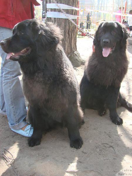 Фото: Nataliya Nichiporenko (Наталия Ничипоренко)