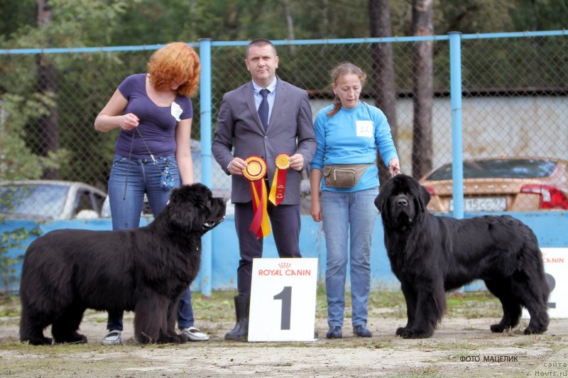 Фотография № 134575