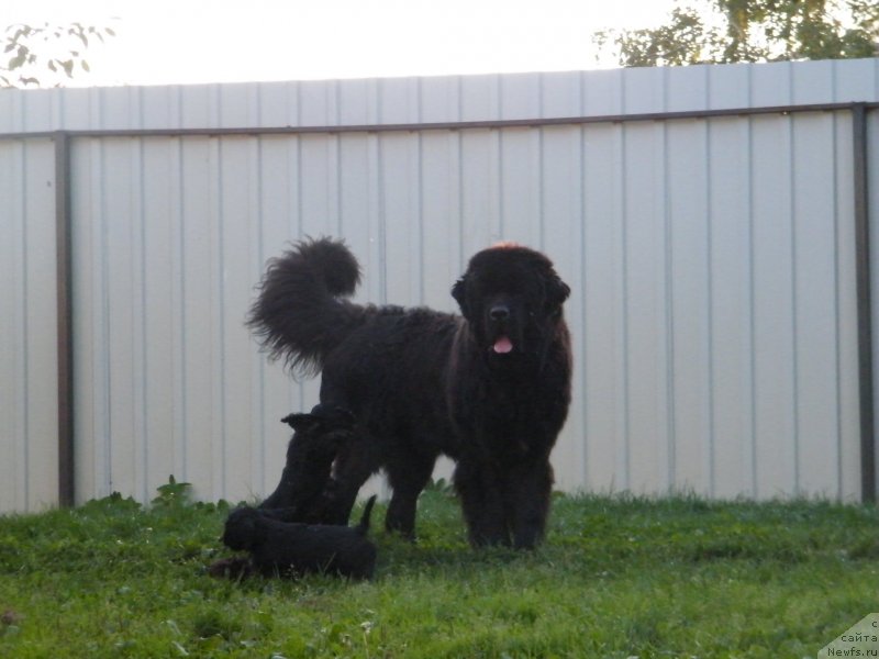 Фотография № 134577