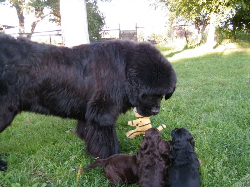 Фотография № 134578