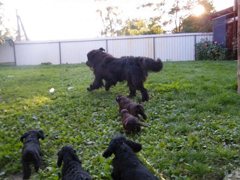 Фотография № 134581