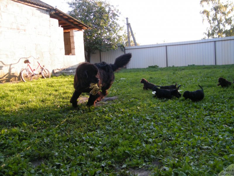 Фотография № 134582