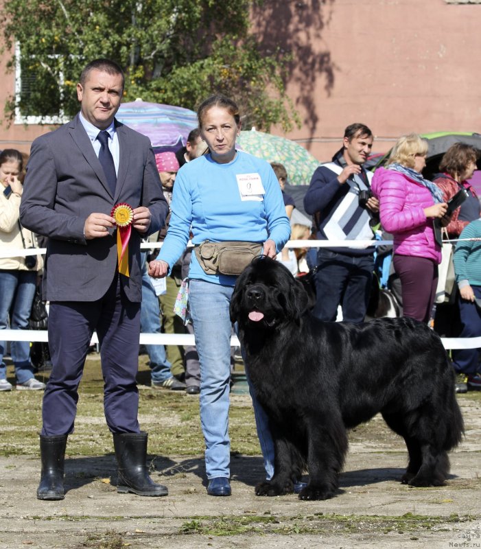 Фотография № 134587