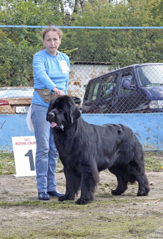 Фотография № 134589