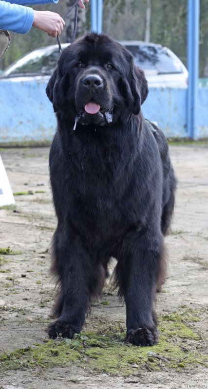 Фотография № 134590