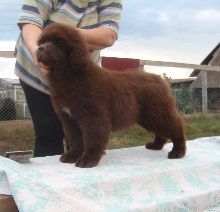 Фотография № 134614