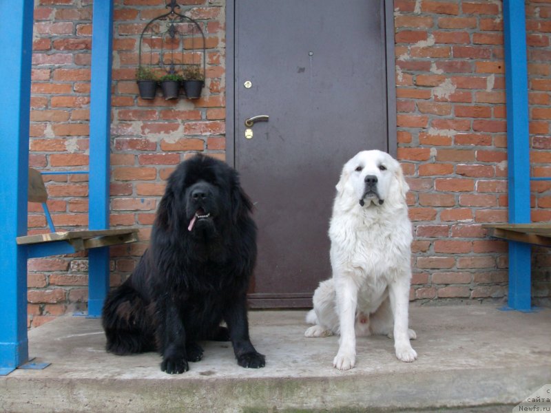 Фотография № 134644