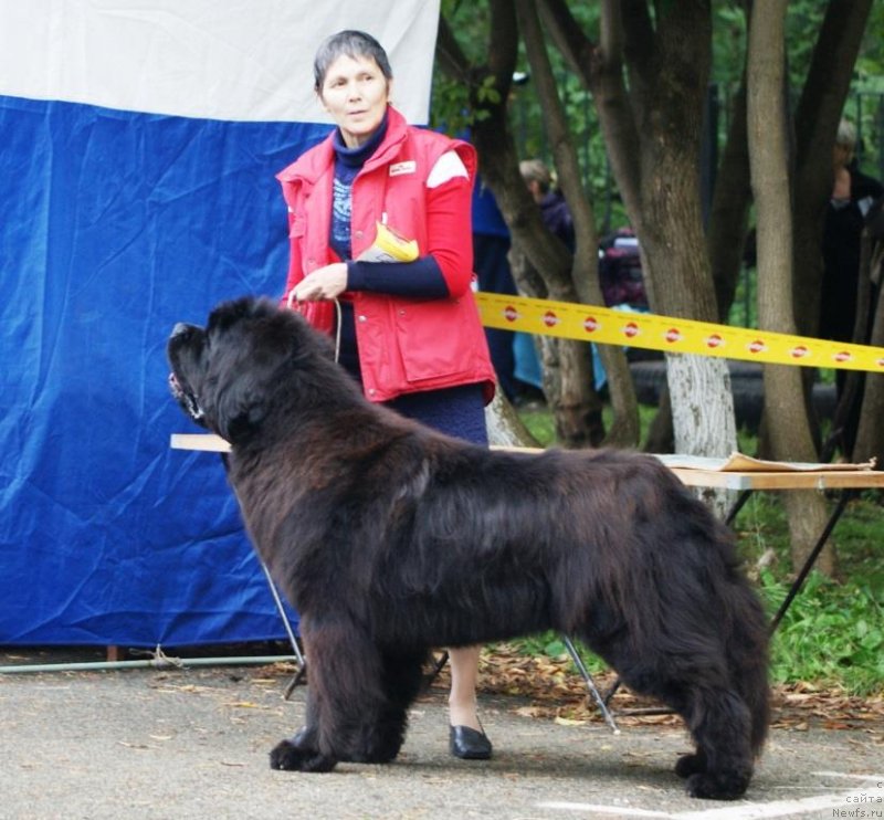 Фотография № 134649