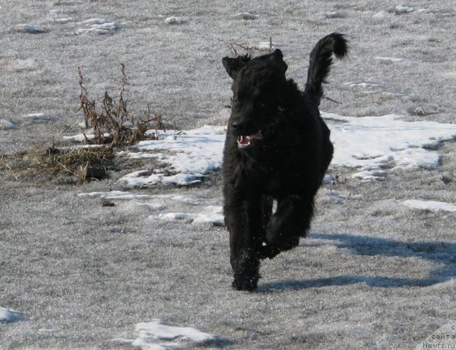 Фотография № 13465