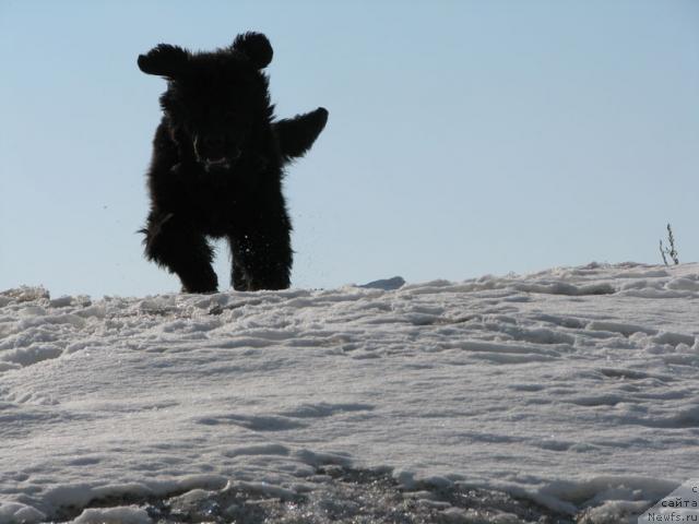 Фотография № 13466