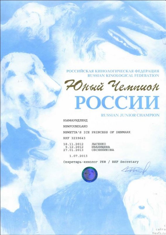 Фото: ньюфаундленд Newettas Ice Princess Of Denmark