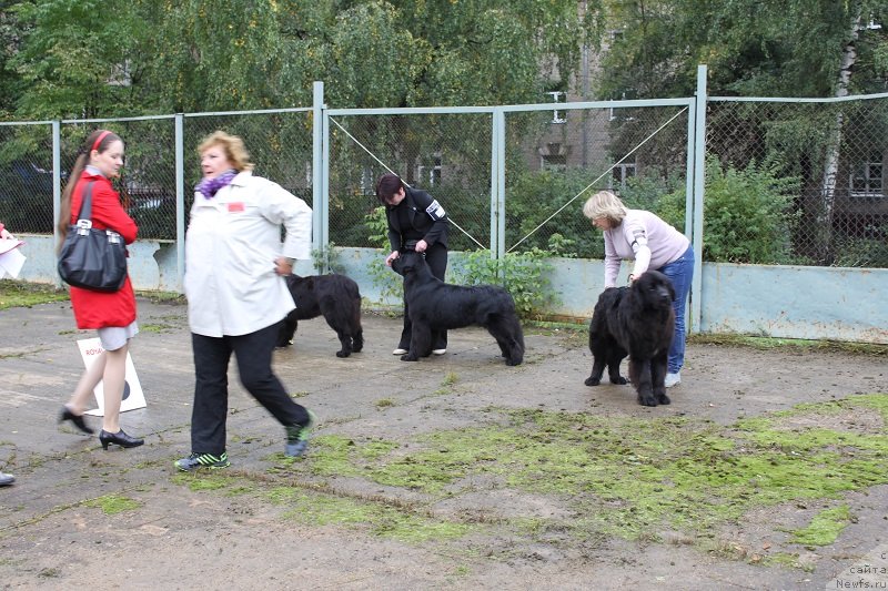 Фотография № 134683