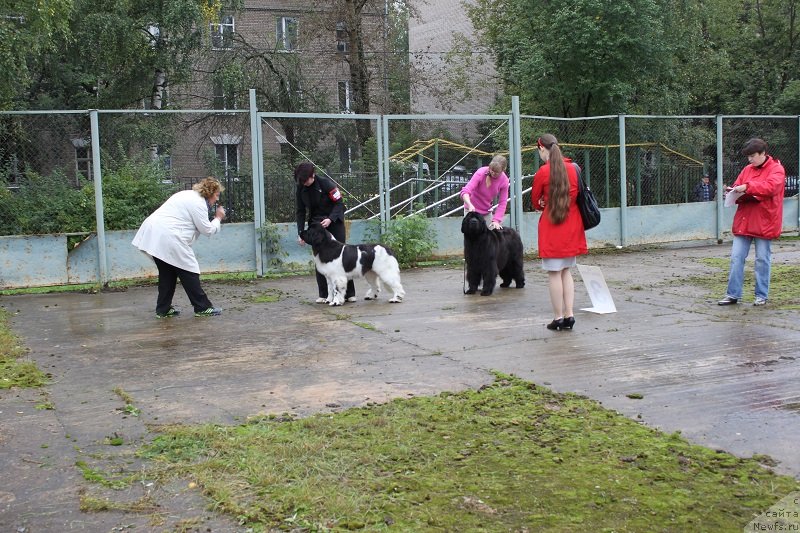 Фотография № 134685