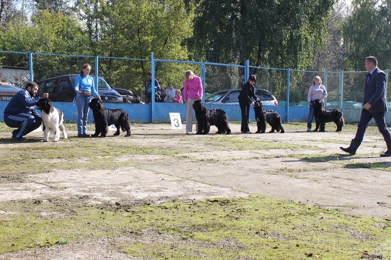 Фотография № 134687