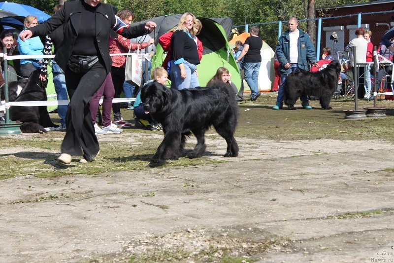 Фотография № 134690