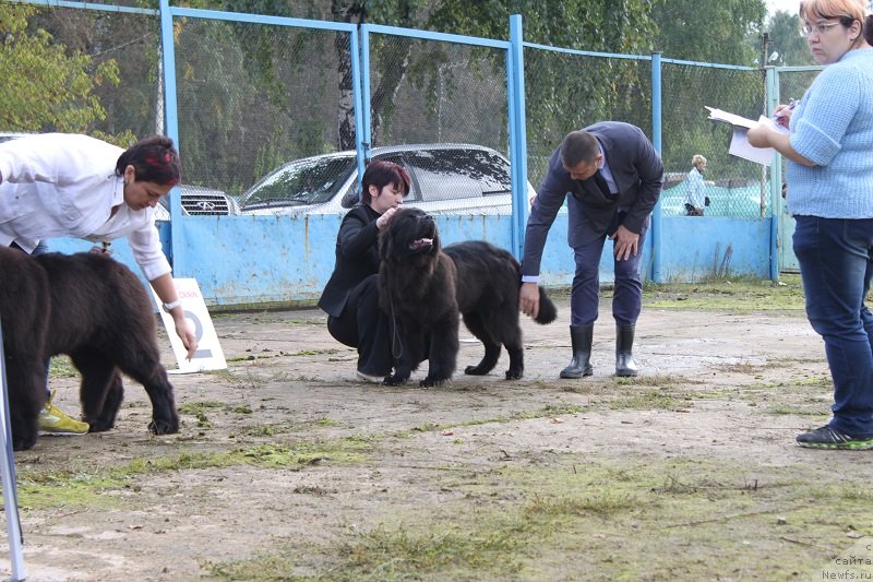 Фотография № 134694