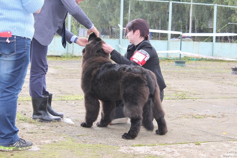 Фотография № 134695