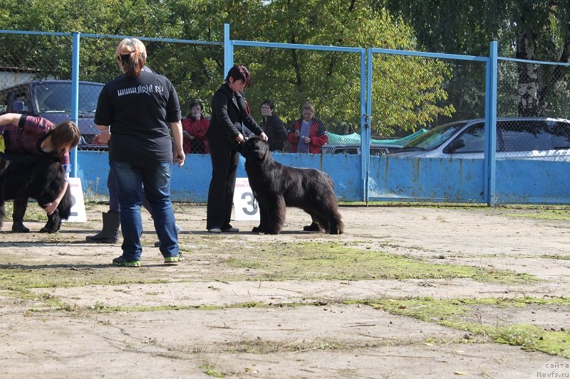 Фотография № 134699