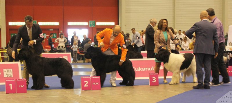 Фотография № 134707