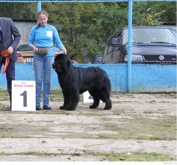 Фотография № 134710