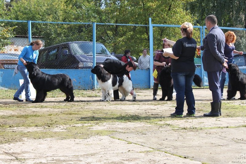 Фотография № 134711