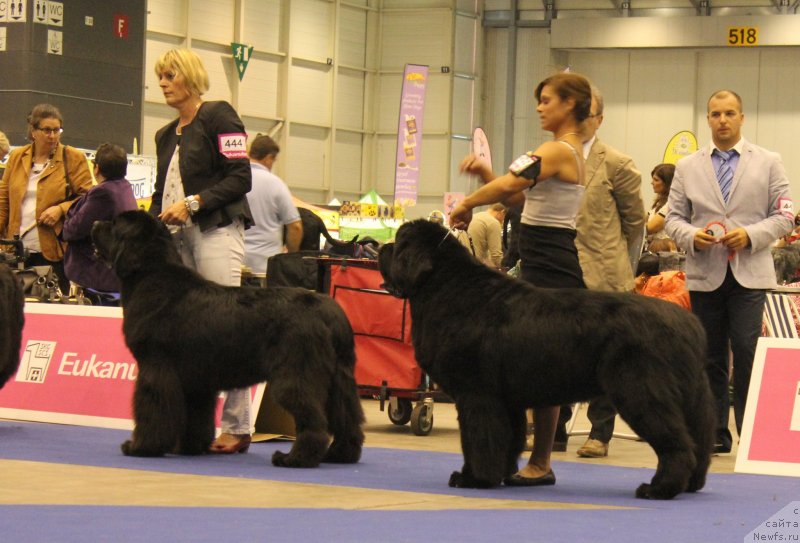 Фото: Чемпионат Европы 2013