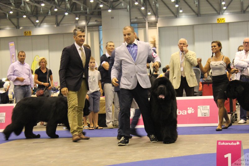 Фото: Чемпионат Европы 2013