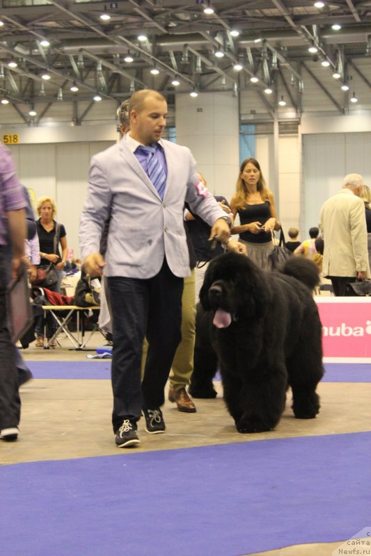 Фото: Чемпионат Европы 2013