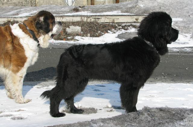 Фотография № 13472