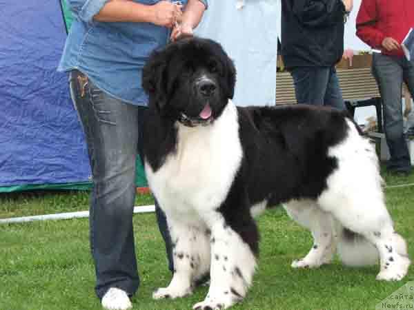 Фотография № 13474