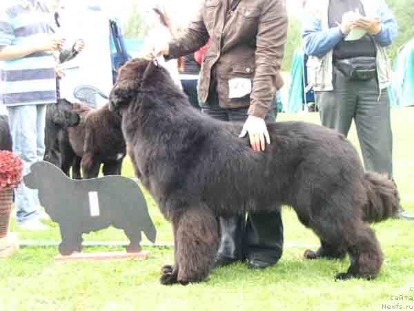 Фотография № 13475