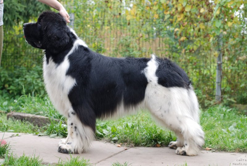 Фотография № 134753