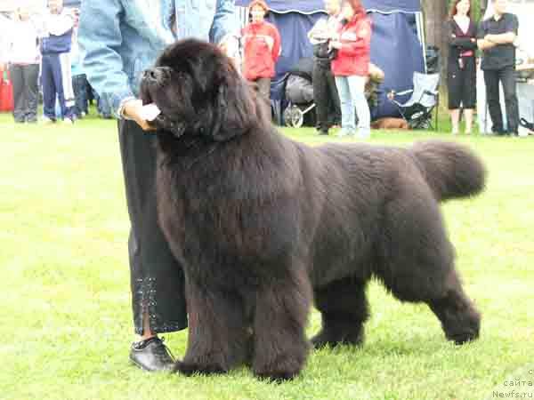 Фотография № 13477