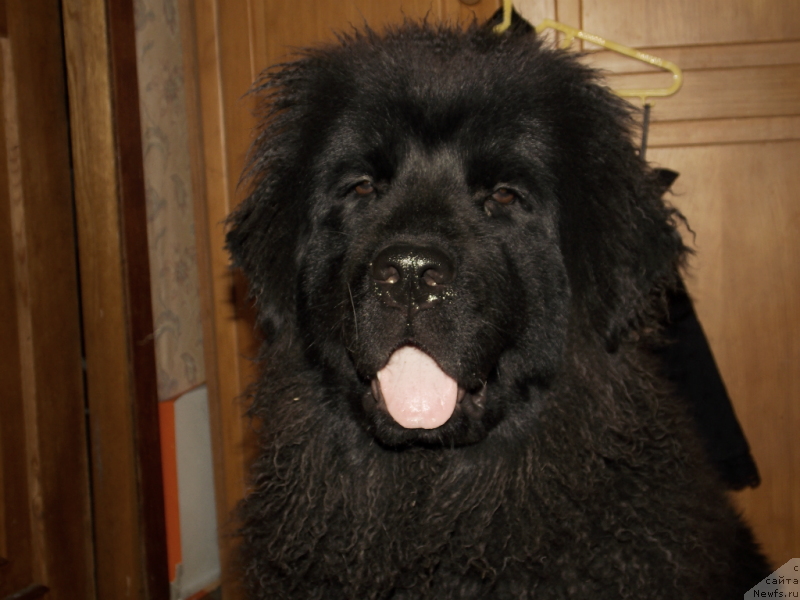 Фотография № 134801