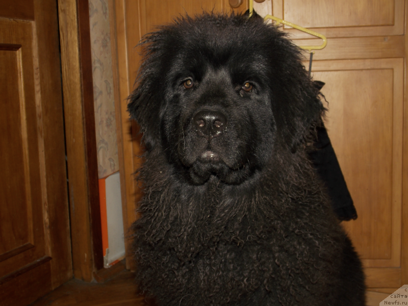 Фотография № 134802