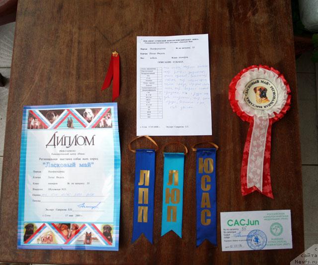 Фотография № 13481