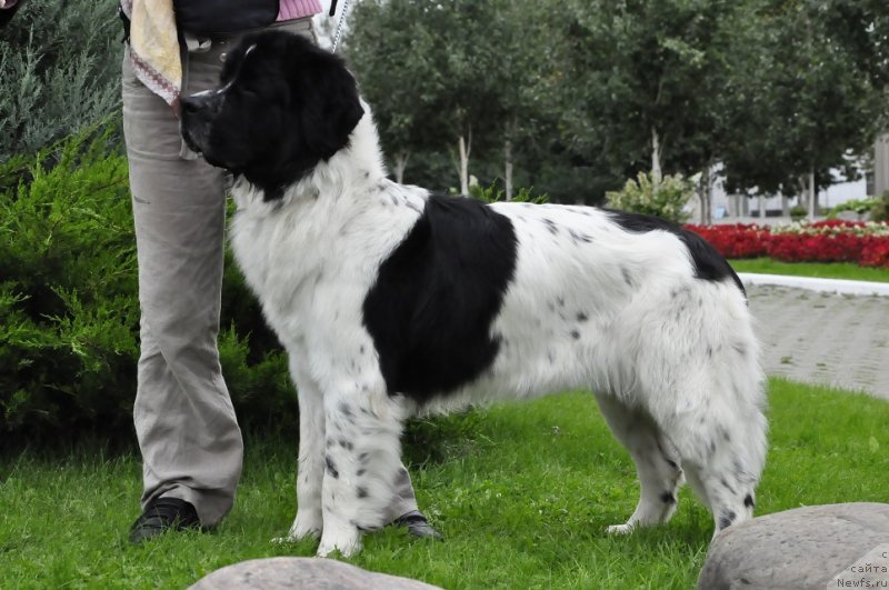 Фотография № 134816